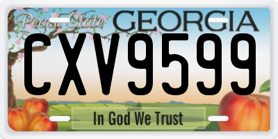 GA license plate CXV9599
