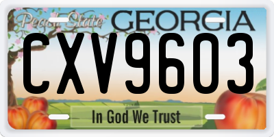 GA license plate CXV9603