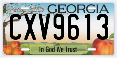 GA license plate CXV9613