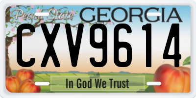 GA license plate CXV9614