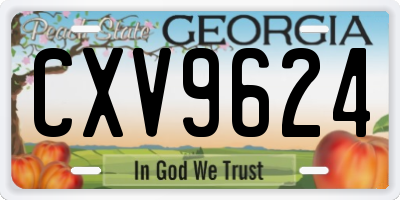 GA license plate CXV9624