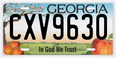 GA license plate CXV9630