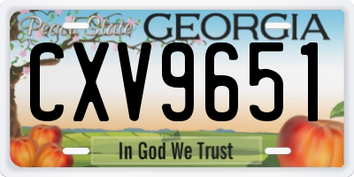 GA license plate CXV9651