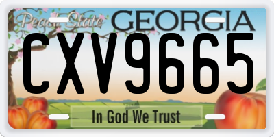 GA license plate CXV9665