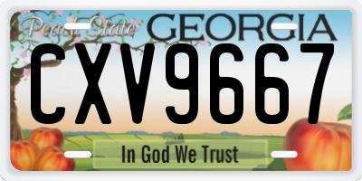 GA license plate CXV9667