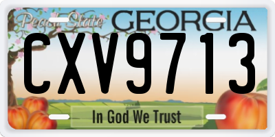 GA license plate CXV9713