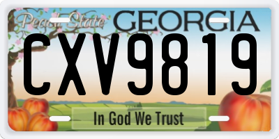 GA license plate CXV9819