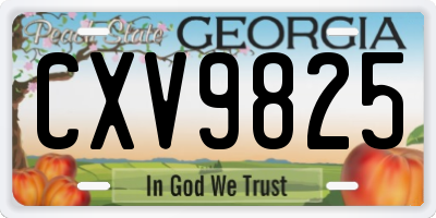 GA license plate CXV9825