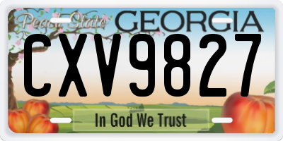 GA license plate CXV9827