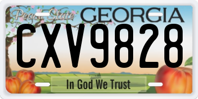 GA license plate CXV9828