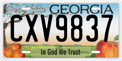 GA license plate CXV9837