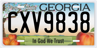 GA license plate CXV9838