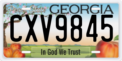 GA license plate CXV9845