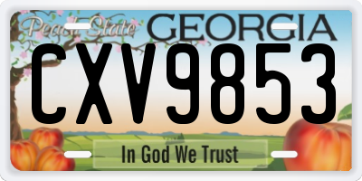 GA license plate CXV9853