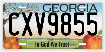 GA license plate CXV9855