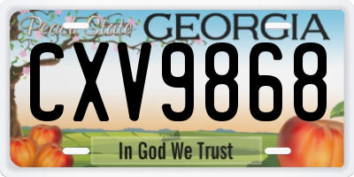 GA license plate CXV9868
