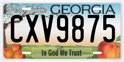 GA license plate CXV9875