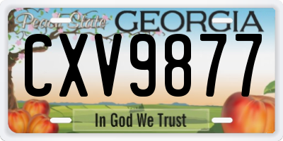 GA license plate CXV9877