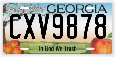 GA license plate CXV9878