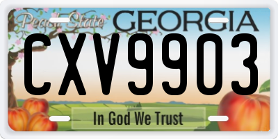 GA license plate CXV9903