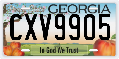 GA license plate CXV9905