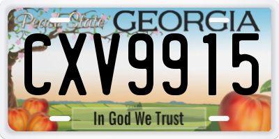 GA license plate CXV9915