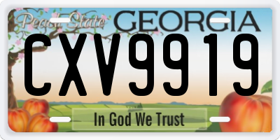 GA license plate CXV9919