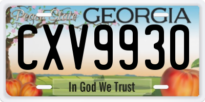 GA license plate CXV9930