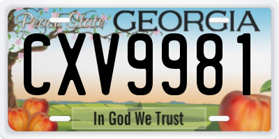 GA license plate CXV9981