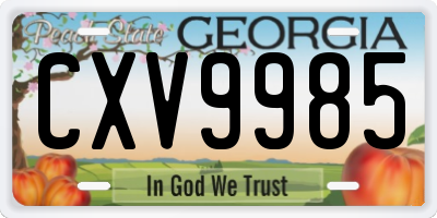 GA license plate CXV9985