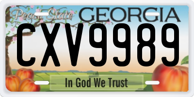 GA license plate CXV9989