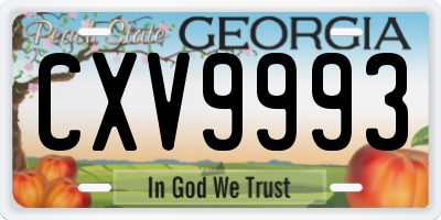 GA license plate CXV9993