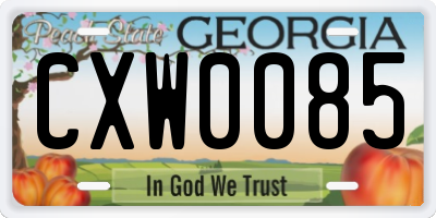 GA license plate CXW0085