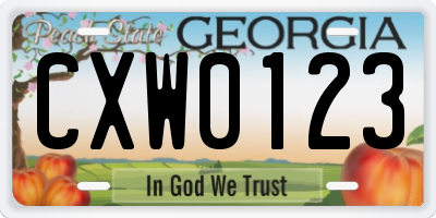 GA license plate CXW0123