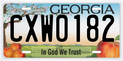 GA license plate CXW0182