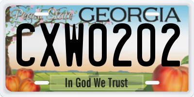 GA license plate CXW0202
