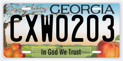GA license plate CXW0203