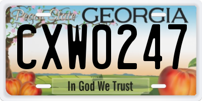GA license plate CXW0247