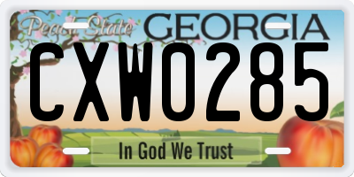 GA license plate CXW0285