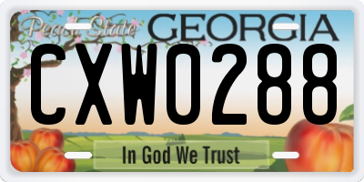 GA license plate CXW0288