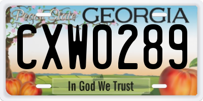 GA license plate CXW0289