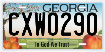 GA license plate CXW0290
