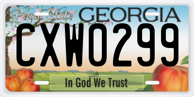 GA license plate CXW0299