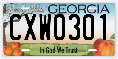 GA license plate CXW0301
