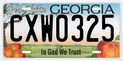 GA license plate CXW0325