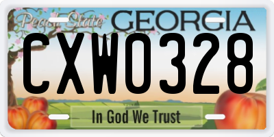 GA license plate CXW0328