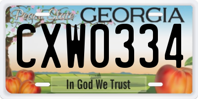 GA license plate CXW0334