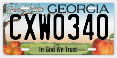 GA license plate CXW0340