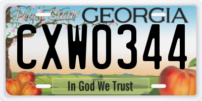 GA license plate CXW0344