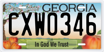 GA license plate CXW0346